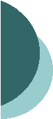 Legal Nurse Services